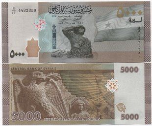 Сирия - 5000 Pounds 2024 - P. W118 - UNC