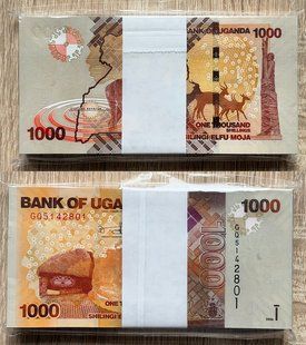 Uganda - 100 pcs х 1000 Shillings 2024 - P. 49e - bundle - UNC