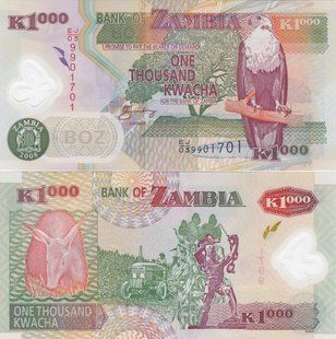 Zambia - 1000 Kwacha 2008 - P. 44f - polymer - UNC