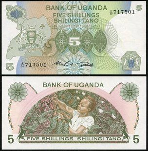 Уганда - 5 Shillings 1982 - Pick 15 - aUNC