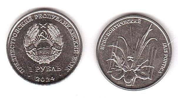 Transnistria - 5 pcs х 1 Ruble 2024 - Iris pontica - UNC