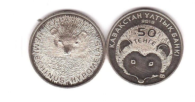 Kazakhstan - 50 Tenge 2013 - Long-needle hedgehog - UNC