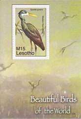 3147 - Lesotho - 2007 - Bird - Block of 1 stamps - MNH