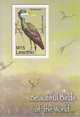 3147 - Лесото - 2007 - Птах - Блок із 1 марки - MNH