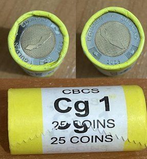 Curacao - 25 pcs х 1 Gulden 2025 - bimetall - roll - UNC