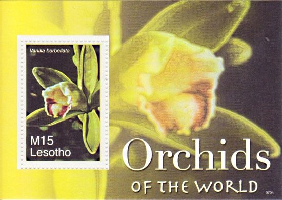 3148 - Лесото - 2007 - Орхідея жовта - Блок із 1 марки - MNH