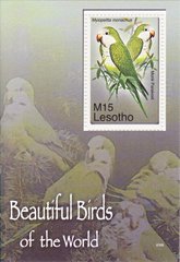 3176 - Лесото - 2007 - Попугай - Блок из 1 марки - MNH