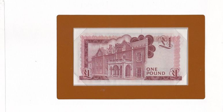 Гібралтар - 1 Pound 1975 - Pick 20a Banknotes of all Nations - у конверті - UNC