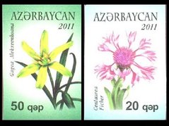 173 - Azerbaijan - 2011 - Definitive Flowers - 2v - MNH - imperforated