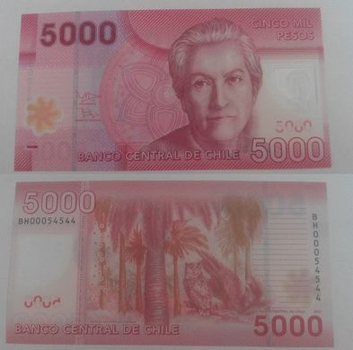 Чили - 5000 Pesos 2012  - UNC