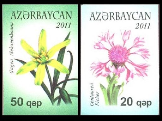 173 - Азербайджан - 2011 - Стандарт цветы - 2 марки неперфорированные - MNH