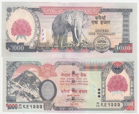 Непал - 1000 Rupees 2008 - Pick 67b - aUNC / UNC