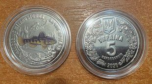Україна - 5 Karbovantsev 2026 - Бичок-кругляк - у капсулі - UNC