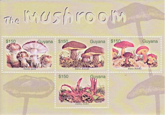 3174 - Гайана - 2003 - Гриби - Блок із 4 марок - MNH