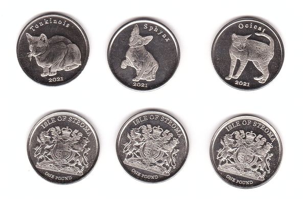 Fantasy - Isle of Storma - набір 3 монети x 1 Pound 2021 - Кішки / Cats - UNC