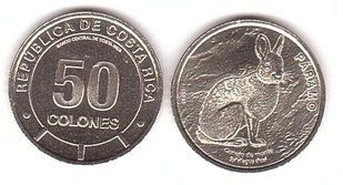 Коста-Ріка - 50 Colones 2023 (2025) - Фауна екосистеми - Парамо. Гірський кролик - UNC