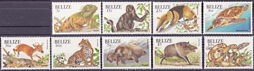 3200 - Белиз - 2000 - Животные - 9 марок - MNH