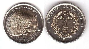 Турция - 1 Lira 2014 - Вухатий їжак / Eared hedgehog - UNC